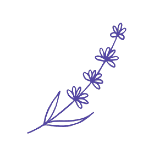 Icône nature 